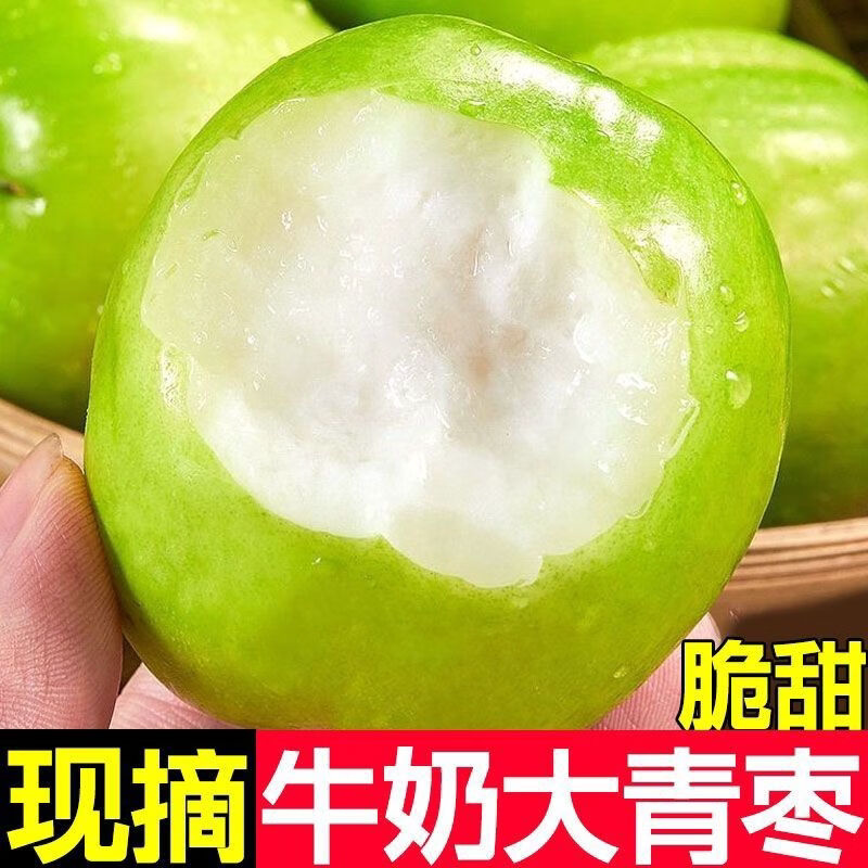 福建青枣牛奶枣新鲜水果脆甜枣贵妃蜜枣当季孕妇可吃现摘牛奶青枣
