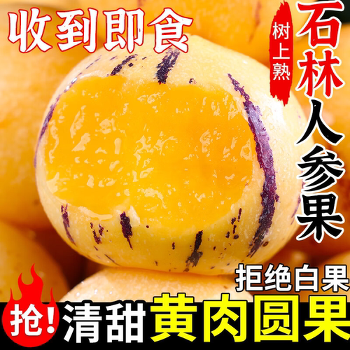 正宗云南人参果水果5斤黄肉新鲜石林人叁果自然树人生果圆果整箱