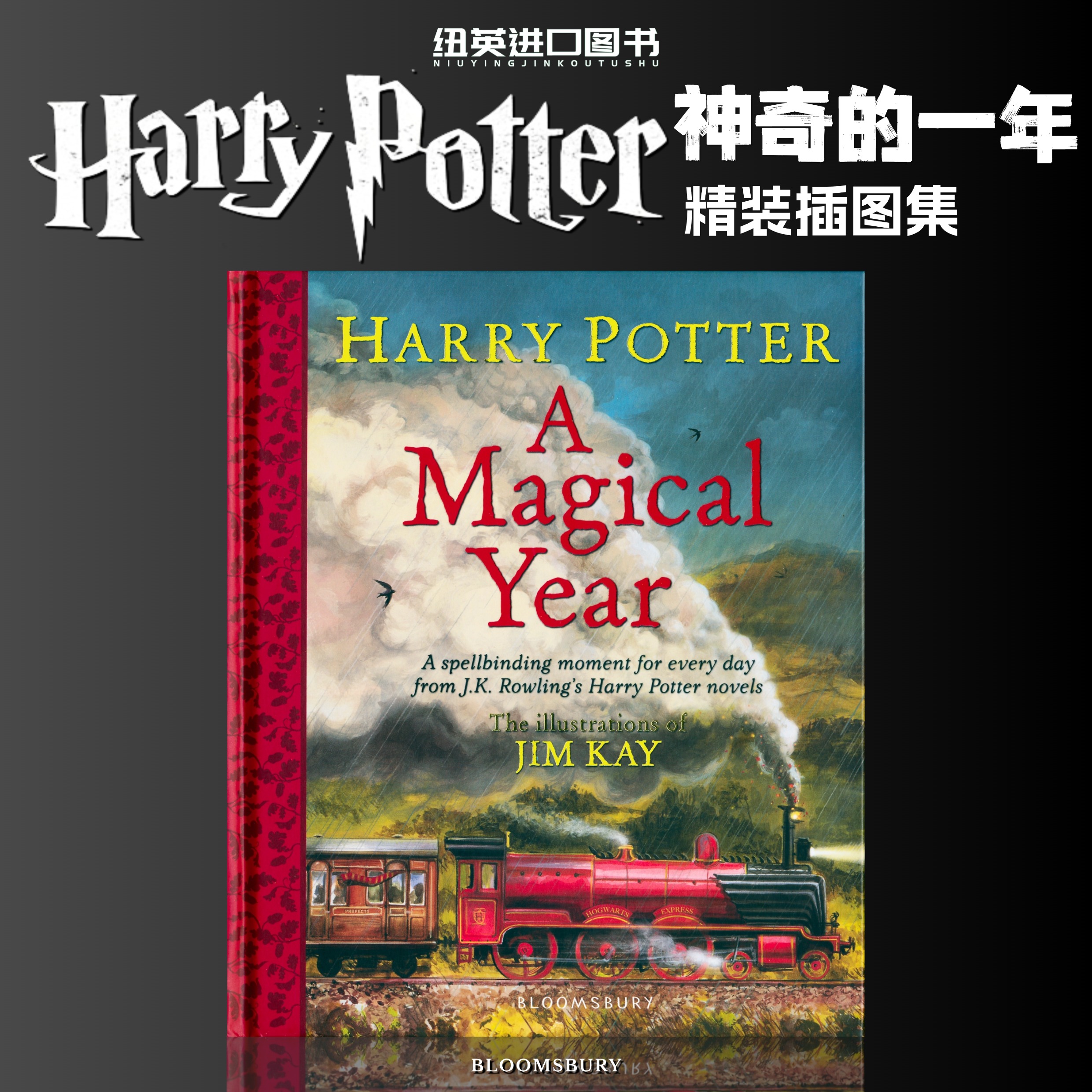 哈利波特神奇的一年全彩精装