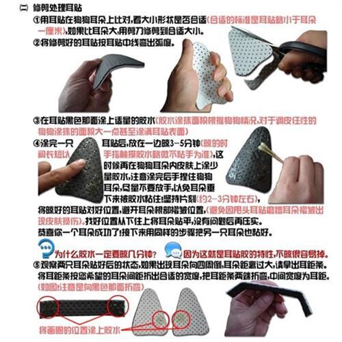 狗耳贴立耳贴耳托宠物立耳矫正器德牧萨摩柯基阿拉斯加立耳器