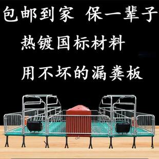 母猪产床热镀锌双体产床单体产床老母猪下崽分娩猪仔保育一体产床