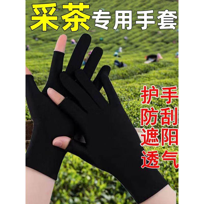 采茶专用手套耐磨露二指采茶择菜开车防滑透气钓鱼防护手套,3C数码配件,USB多功能数码宝,淘宝优惠券,粉丝福利购,淘宝优惠卷