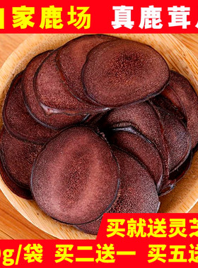 买五送五鹿茸血片正品泡酒中药材