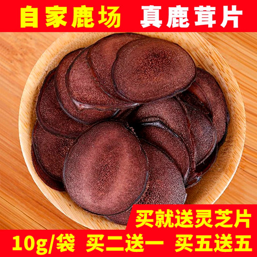 买五送五鹿茸血片正品泡酒中药材