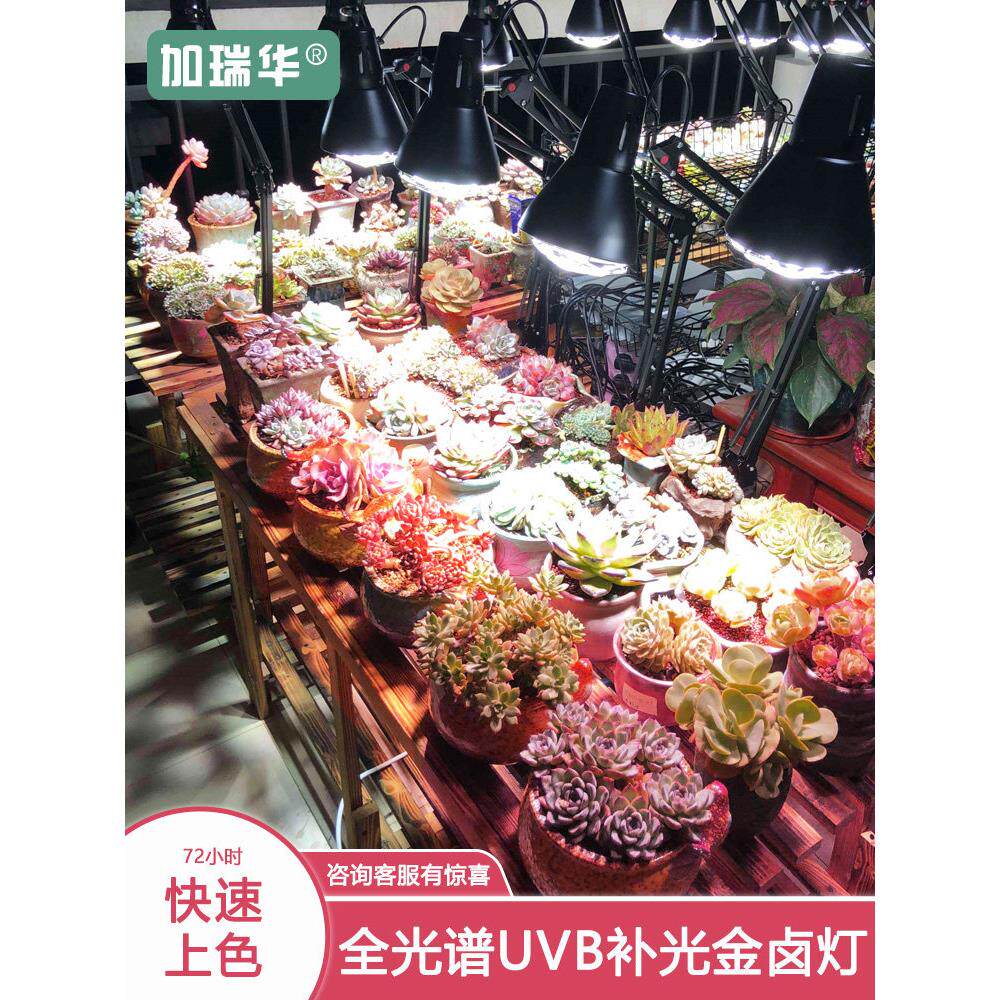 植物灯生长灯金卤灯uvb全光谱多肉补光灯家用室内彷太阳led植物灯