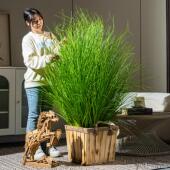 大型彷真绿色植物芦苇草狗尾巴草假草盆栽彷生假树造景观植物装 饰