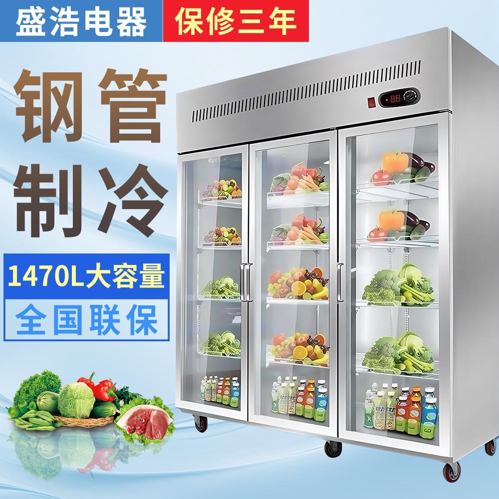 冷藏展示柜三门展示柜商用水果保鲜柜串串柜冰柜大容量双门