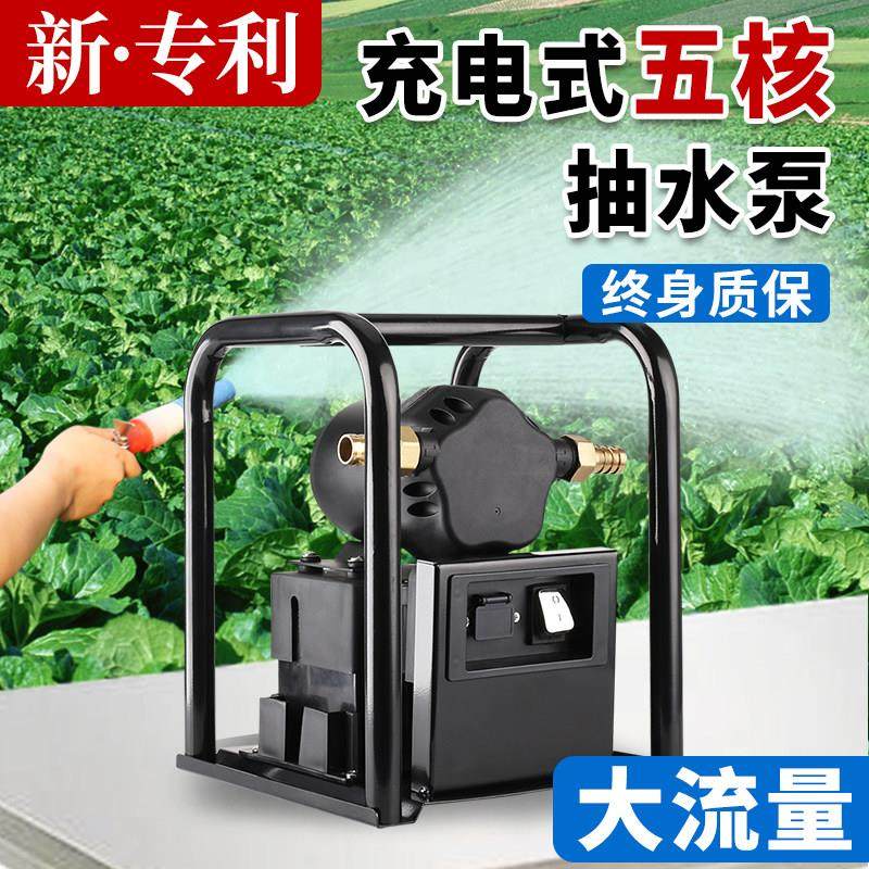 充电式抽水泵大流量农用浇地灌溉浇菜户外抗旱大功率井水自吸,鲜花速递/花卉仿真/绿植园艺,花园水泵,淘宝优惠券,粉丝福利购,淘宝优惠卷