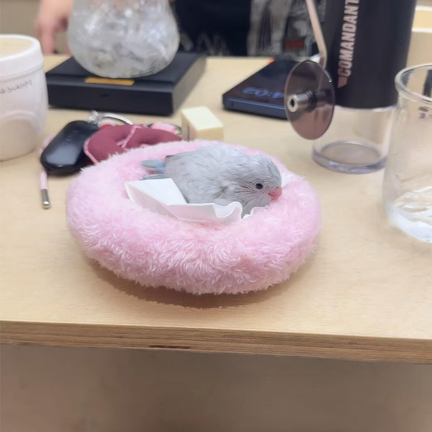 圆形鸟窝鹦鹉窝粉色长绒小鸡棉窝冬季保暖牡丹玄凤小太阳睡觉垫子