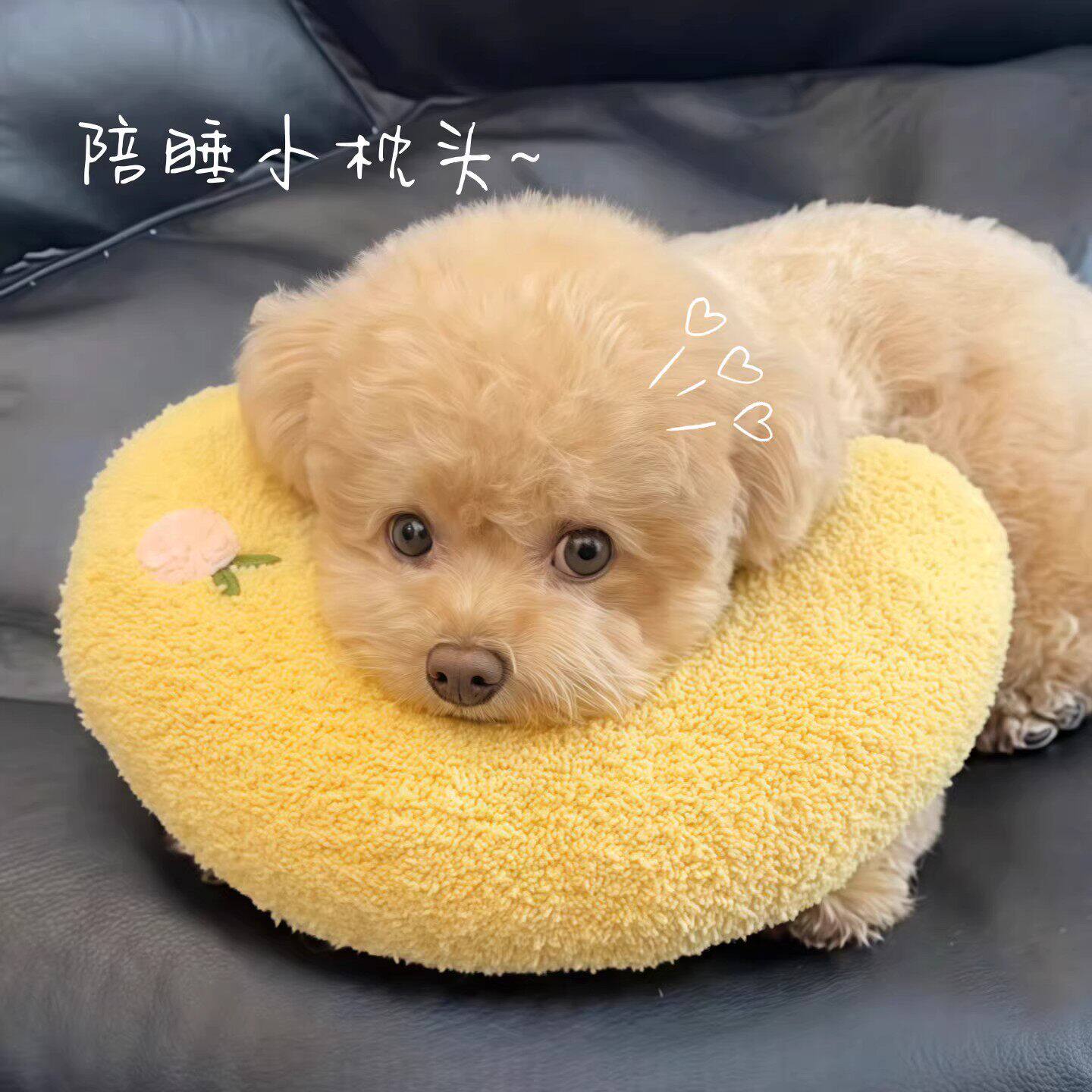 狗狗专用睡觉小枕头中小型犬睡垫子猫咪护颈u型枕陪睡枕宠物用品