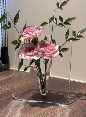 相框花瓶亚克力轻奢高级感花瓶摆件客厅插花透明水养插花鲜花高级