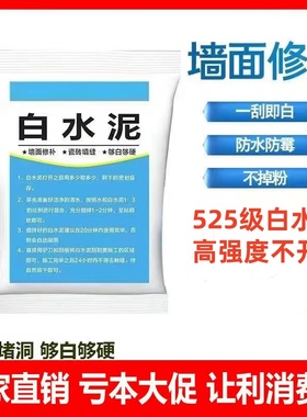 国标525白水泥家用防水防霉瓷砖填缝堵洞补墙地漏速干白色水泥胶