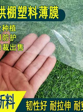 白色透明农业种植家用小拱棚专用塑料薄膜全新料保温防寒蔬菜秧苗