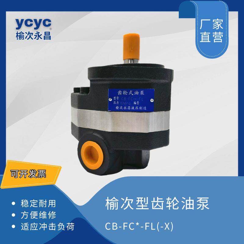 榆次永昌液压齿轮泵两孔CB-FC10/16/20/25/31.5/40/50/63系统调直