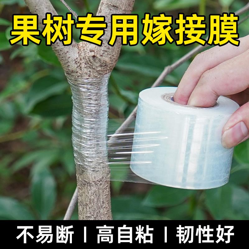果树嫁接专用膜PE拉伸薄膜自粘园林树苗包扎带免打结高韧性缠绕膜