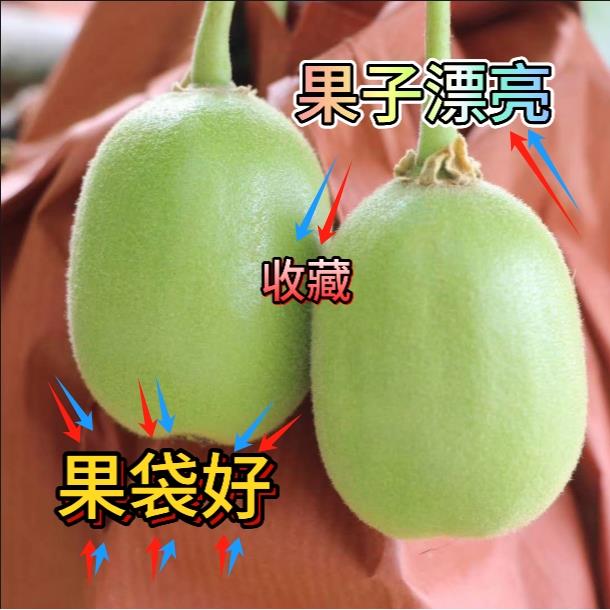 红心猕猴桃套袋果袋猕猴桃果袋红阳果袋防虫防水防农残猕猴桃套袋