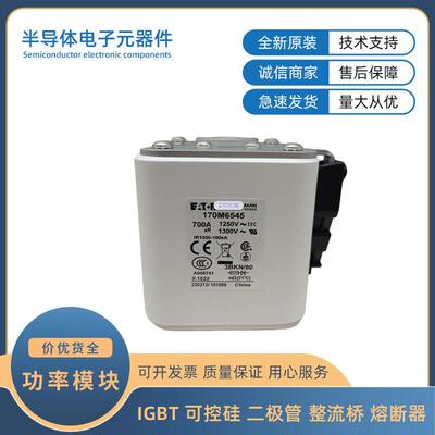 170M6344 170M6345 170M6346 170M6347 170M6348 170M6349 熔断器