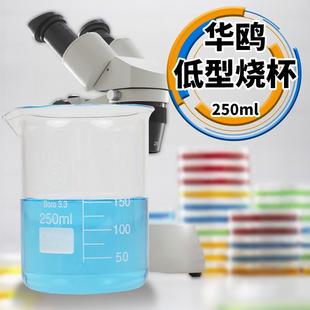 1000ml 实验室高硼硅玻璃低型烧杯刻度器材100 500 200 华鸥 300