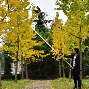 带拉绳高枝剪高空锯树枝带加长伸缩杆高空剪树技树叶修剪剪刀