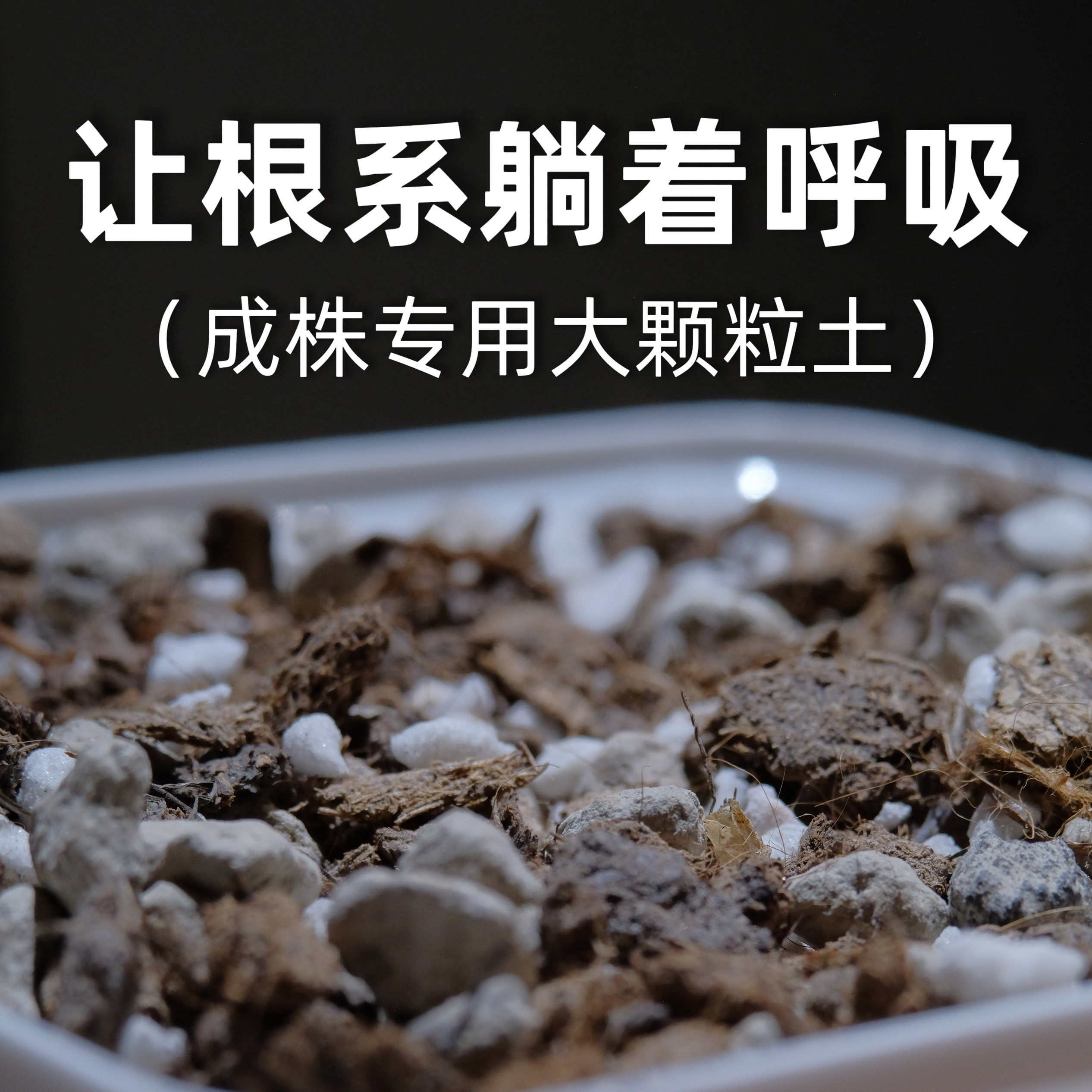 十二卷多肉成株专用颗粒土 玉露寿万象多肉土 大颗粒透气防烂根