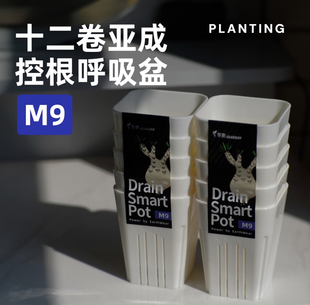 M9呼吸盆开孔式十二玉露块根多肉植物专用潮流花盆透明小型盆器