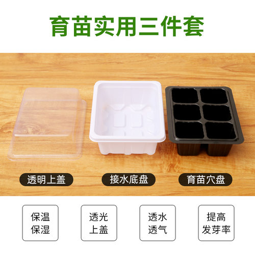 育苗神器穴盘营养杯塑料钵长方形托盘芽菜白菜扦插种植盒箱专用盆