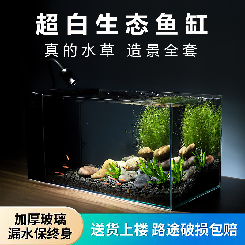 超白玻璃鱼缸生态免换水小型溪流鱼缸侧滤自循环家用客厅桌面鞋柜