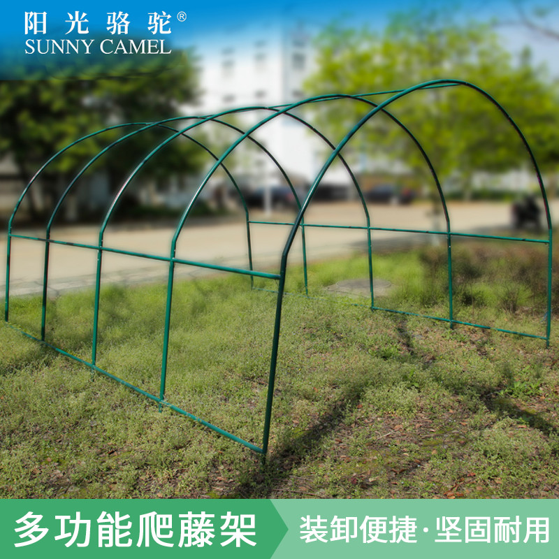 植物爬藤架暖房钢管花架葡萄架大棚骨架百香果支架庭院园艺攀爬架