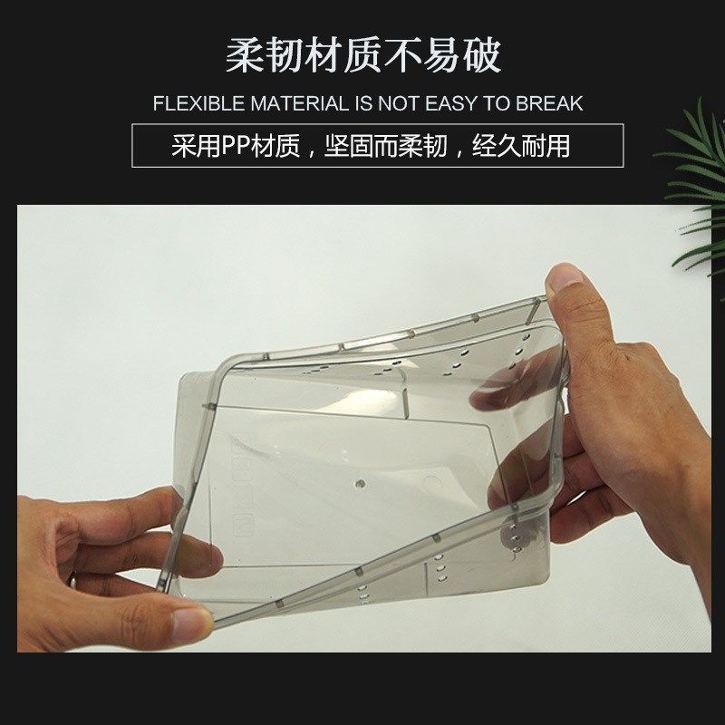爬宠饲养盒玩具蛇蜘蛛乌龟塑料角蛙守宫蜥蜴昆虫爬虫饲养盒人渣盒