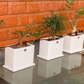 家用自动浇花器阳台滴灌花盆定时盆栽滴头浇水地插智能滴水系统