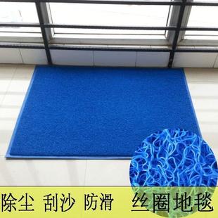蓝色门垫丝圈家用进门口防滑垫入户除尘地垫塑料地毯出入平安门垫