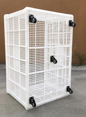 料筐空带塑轮子27148大号长方子形箱胶框镂加厚快递服装工厂中转