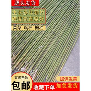 竹竿蔬菜园架攀缘藤番茄豆架黄瓜竹竿彩旗杆装饰栅栏栅栏细竹