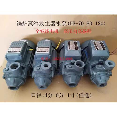 高压锅炉旋涡泵1DB 3/4DB 1/2DB-70 80 120 蒸汽发生器补水上水泵