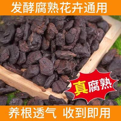 花土月季使用栽培BD101091君子花铁兰树皮石斛新西兰腐松鳞大颗熟