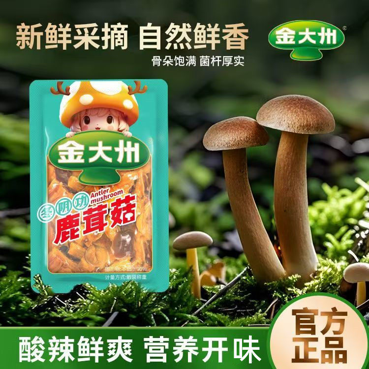 金大州鹿茸菇1斤装金大洲开袋即食休闲零食泰式冬阴功酸辣可口