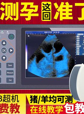 高清兽用b超机便携式羊牛用必超彩超机检测孕仪器背膘比超机母猪