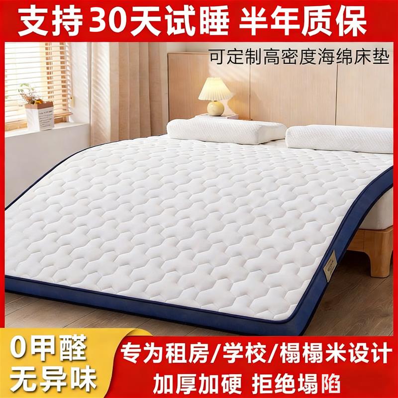定制床垫软垫子被褥铺底乳胶记忆棉蓝色海绵垫定做家用卧室榻榻米