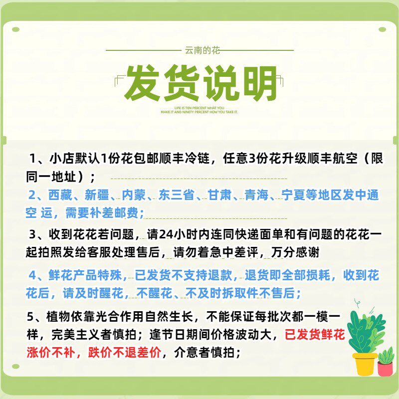 家庭简约家居卧室勿忘我干花云南花束真花家居客厅摆设装饰插花