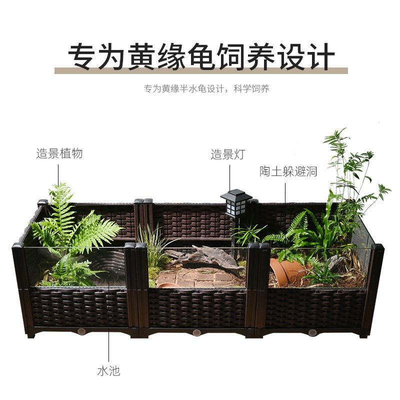 黄缘乌龟专用养殖箱安缘闭壳龟半水龟玻璃生态环境造景植物饲养缸