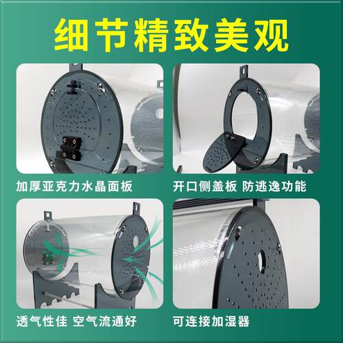 圆形玻璃缸爬宠饲养箱雨林蜥蜴守宫角蛙寄居蟹蜘蛛螳螂鸣虫饲养盒