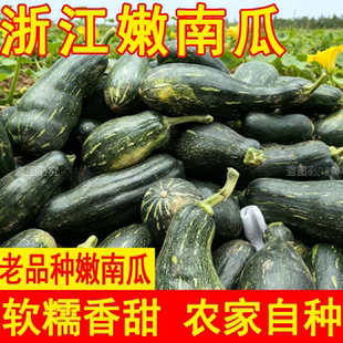 嫩南瓜新鲜蔬菜黑皮南瓜绿窝瓜嫩倭瓜青皮南瓜现摘绿南瓜农家整箱
