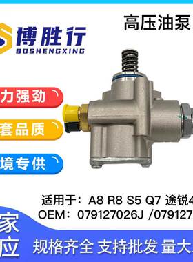 适用于奥迪4.2L高压燃油泵079127026J 079127026AC HFS853A104