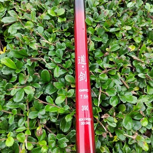 道剑 黑坑鱼竿7.5H高碳逆丝超轻超硬竞技19调钓竿飞磕鲤鱼罗飞