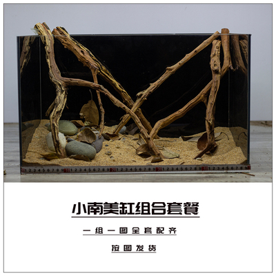 小鱼缸造景套餐南美缸组合枝条鱼缸布景木头原生缸小型鱼缸枯树枝