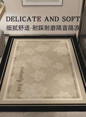地防垫入户垫轻门垫奢进门脚垫门口玄关入门F775SSSJ地毯家用滑子