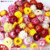 干花香薰制草作017件玫瑰花瓣勿忘我衣草套盒云南厂家