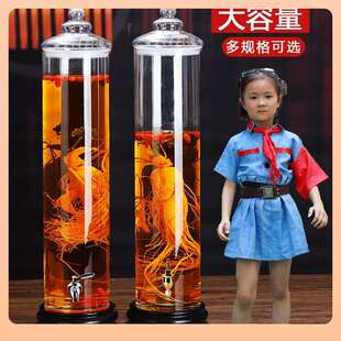 ?人参泡F76J9M7J酒瓶密泡封酿酒玻坛可带龙大容量酒罐透明酒璃桶