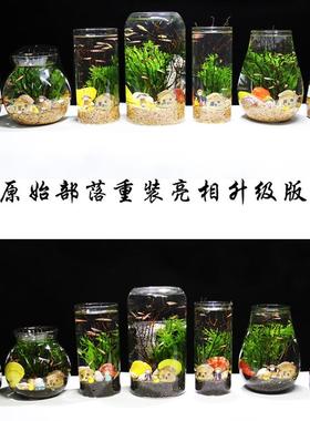 观理赏生态瓶鱼桌微景观免换水免打水族办公面意造ycy56025创景鱼