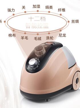 家用蒸挂烫机衣烫服大蒸汽TZf4sr8H小型熨烫机汽两手持电熨斗平烫